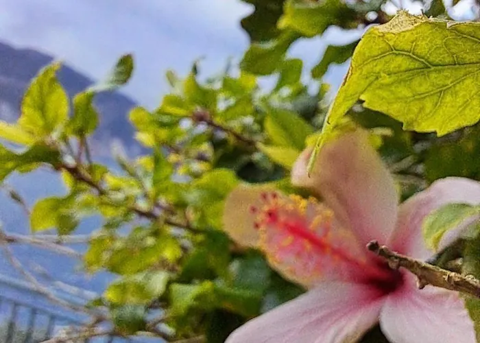 Villa Luxury Seafront Villas, Kefalonia, 100m & Center, 4 Stars Services, Parking - Near Myrtos - Fiskardo